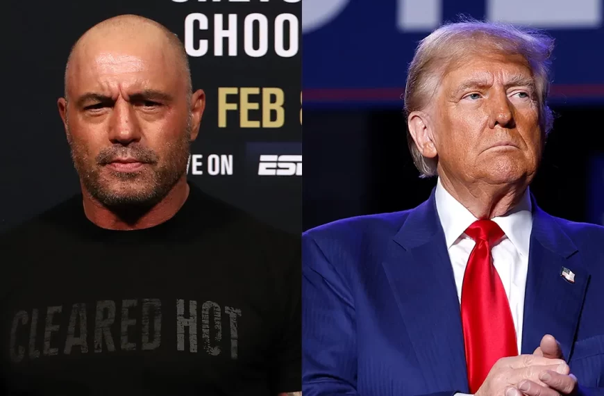 Election Integrity In The News: Joe Rogan Interviews Donald Trump